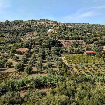 Homestay Antico Sogno
