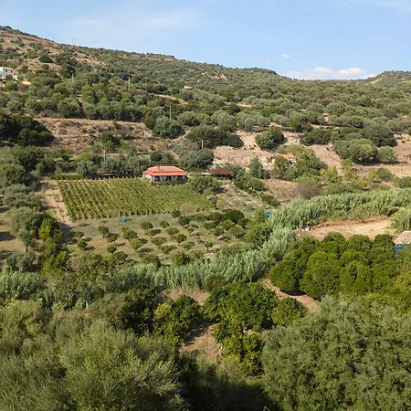 Antico Sogno Homestay *