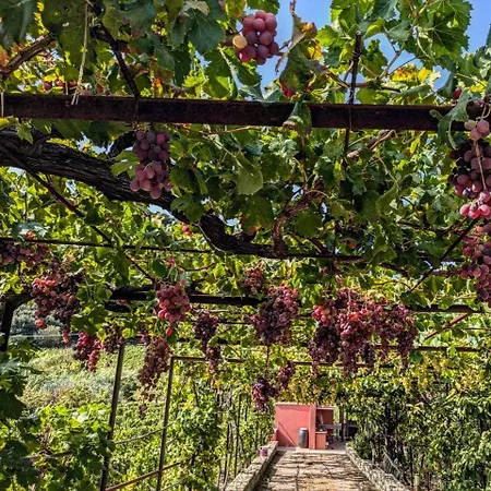 Antico Sogno Homestay